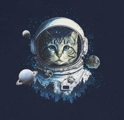 Cat in Space Meme Template