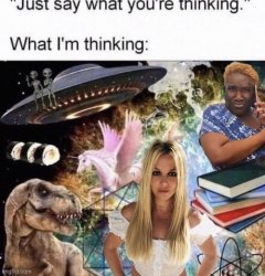 Just say what you're thinking Meme Template