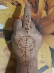 FLIPPIN OFF THE OLIGARCHY Meme Template