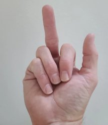 Flipping Meme Template