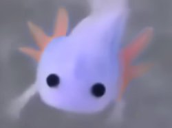 Minecraft axolotl real⁉️ Meme Template