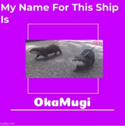 Okamugi Shipping Wiki Fandom Meme Template