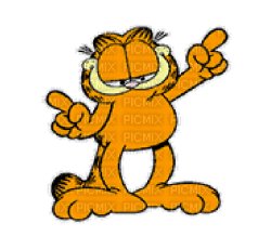 PARTY GARFIELD Meme Template