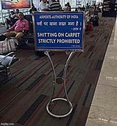 shitting on carpet strictly prohibited Meme Template