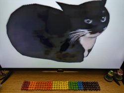 autism cat maxwell Meme Template
