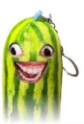 Shein’s nightmare fuel pickle. Meme Template