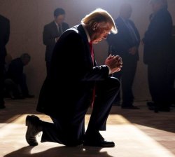 Trump’s last ditch effort Meme Template