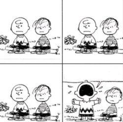 Frustrated Charlie Brown and Linus Meme Template