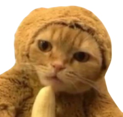 monkeycat Meme Template