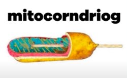 Mitocorndriog Meme Template
