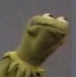 Kermit stare Meme Template