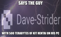 Says the guy with 500 terabytes of kit hentai on his pc Meme Template