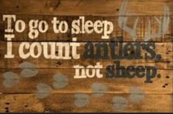 Antlers Meme Template