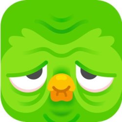 Old Duolingo Owl Meme Template