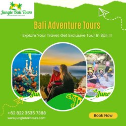 Bali Adventure Tours Meme Template