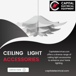 Ceiling Light Accessories Meme Template