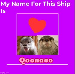 Qoonaco Shipping Wiki Fandom Meme Template