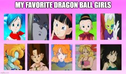my favorite dragon ball girls Meme Template