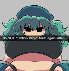 do NOT mention skibidi toilet again kitten Meme Template