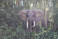 Jungle Cruise African Elephant Meme Template