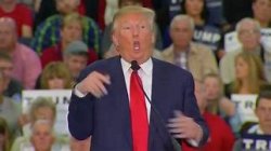 Trump Makes Fun of Handicapped People Meme Template