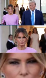 Melania Deep Thoughts Meme Template