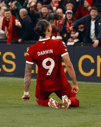 Darwizzy Meme Template