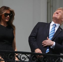 Donnie Don't Meme Template