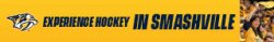 Experience Hockey In Smashville Meme Template