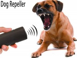 dog repeller Meme Template