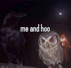 me and hoo Meme Template