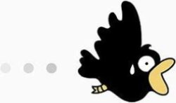 A crow flies overhead Meme Template