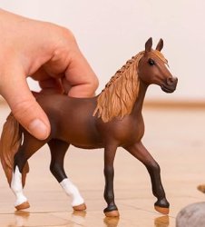 Plastic Toy Horse Meme Template