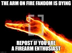 repost if you are a firearm enthusiast Meme Template