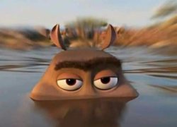 Hippo in the water Meme Template