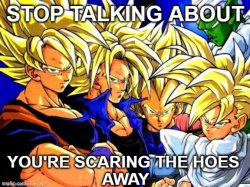 DBZ stop talking about You're scaring the hoes away Meme Template