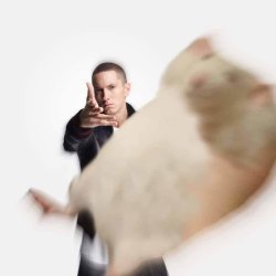eminem throwing hamster Meme Template