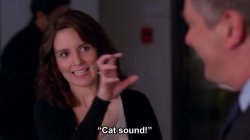 cat sound Meme Template