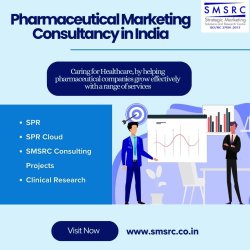 Pharmaceutical Marketing Consultancy in India Meme Template