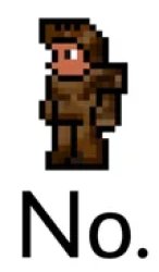 Terrarian says "No." Meme Template