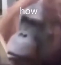 how Meme Template