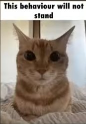 this behaviour will not stand Meme Template