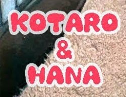 Kotaro and Hana Name Tags Meme Template