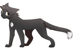 ravenpaw Meme Template