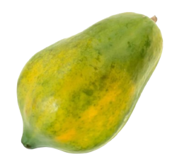 Papaya Meme Template