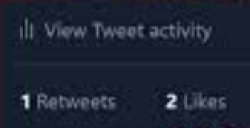 2 likes 1 retweet Meme Template