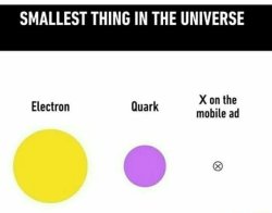 Smallest things in the universe Meme Template