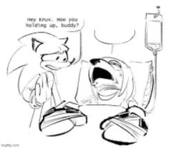 knuckles in the hospital Meme Template