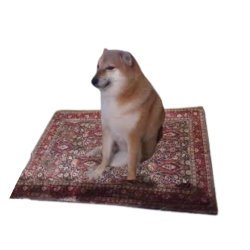 Dog Wif Rug Meme Template