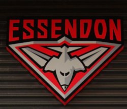 Essendon emblem Meme Template